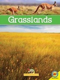 Cover: Grasslands with Code - Av2 by Weigl