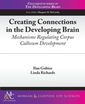Cover: Creating Connections in the Developing Brain - Morgan and Claypool Life Sciences