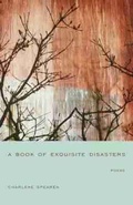 Cover: A Book of Exquisite Disasters - University of South Carolina Press