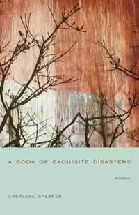 Enlarge image Cover: A Book of Exquisite Disasters - University of South Carolina Press