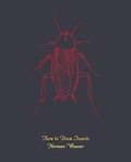 Cover: How to Draw Insects (Facsimile Reprint) - Coachwhip Publications