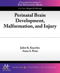 Cover: Perinatal Brain Development, Malformation, and Injury - Morgan & Claypool Publishers