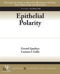 Cover: Epithelial Polarity - Morgan & Claypool Publishers