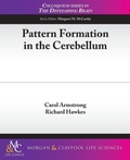 Cover: Pattern Formation in the Cerebellum - Morgan & Claypool Publishers