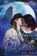 Cover: Weathering Rock - Lyrical Press