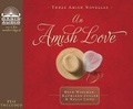 Cover: An Amish Love - Oasis Audio, Div of Domain Communications