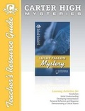 Cover: Lucky Falcon Mystery Digital Guide - Saddleback Educational Publishing