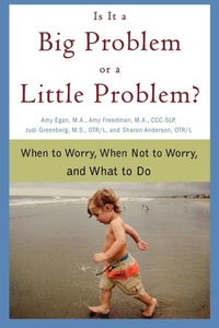 Enlarge image Cover: Is It a Big Problem or a Little Problem? - St. Martin's Griffin