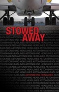 Cover: Stowed Away - Saddleback Educational Publishing, Inc.