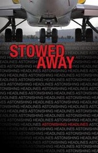 Enlarge image Cover: Stowed Away - Saddleback Educational Publishing, Inc.