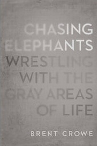 Enlarge image Cover: Chasing Elephants - NavPress Publishing Group
