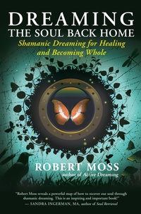 Abbildung von: Dreaming the Soul Back Home - New World Library