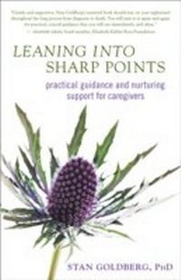 Enlarge image Cover: Leaning into Sharp Points - New World Library