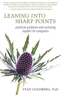 Enlarge image Cover: Leaning into Sharp Points - New World Library