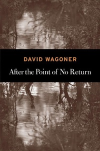 Enlarge image Cover: After the Point of No Return - Copper Canyon Press