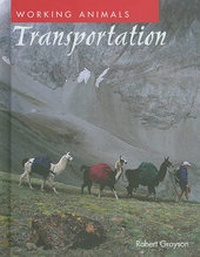 Enlarge image Cover: Transportation - Cavendish Square Publishing