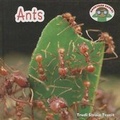 Cover: Ants - Cavendish Square Publishing