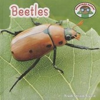 Enlarge image Cover: Beetles - Cavendish Square Publishing
