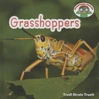Enlarge image Cover: Grasshoppers - Cavendish Square Publishing