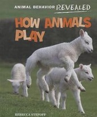 Enlarge image Cover: How Animals Play - Cavendish Square Publishing
