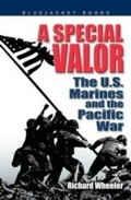 Cover: A Special Valor - Naval Institute Press