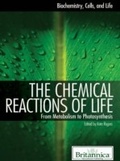 Cover: Chemical Reactions of Life - Britannica Educational Publishing