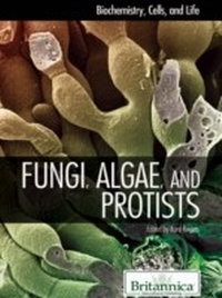 Enlarge image Cover: Fungi, Algae, and Protists - Britannica Educational Publishing