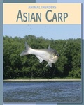 Cover: Asian Carp - Cherry Lake Publishing