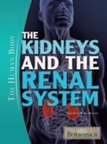 Cover: Kidneys and the Renal System - Britannica Educational Publishing