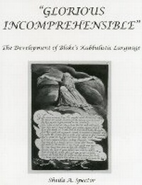 Enlarge image Cover: Glorious Incomprehensible - Bucknell University Press,U.S.