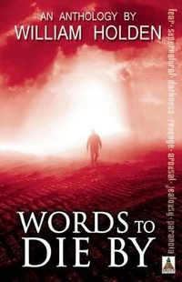 Enlarge image Cover: Words to Die by - Bold Strokes Books