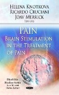 Cover: Pain / Brain Stimulation in the Treatment of Pain - Nova Science Publishers Inc