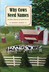 Enlarge image Cover: Why Cows Need Names - Kent State University Press / Black Squirrel Books