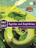 Cover: Reptiles and Amphibians - Treasure Bay