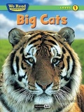 Cover: Big Cats - Treasure Bay