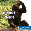 Cover: All About Chimps - Britannica Digital Learning