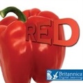Cover: Red - Britannica Digital Learning