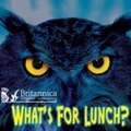 Cover: What's for Lunch? - Britannica Digital Learning