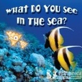 Cover: What Do You See in the Sea? - Britannica Digital Learning
