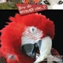 Cover: How Do Animals Use...? - Britannica Digital Learning