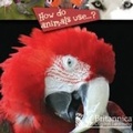 Cover: How Do Animals Use...? - Britannica Digital Learning