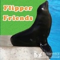 Cover: Flipper Friends - Britannica Digital Learning