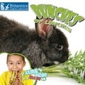 Cover: Bunches of Lunches - Britannica Digital Learning