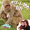 Cover: Peek-a-Boo, Baby - Britannica Digital Learning