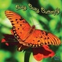 Cover: Busy, Busy Butterfly - Rourke Publishing
