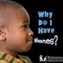 Cover: Why Do I Have Bones? - Britannica Digital Learning