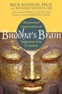 Cover: Buddha's Brain - New Harbinger Publications
