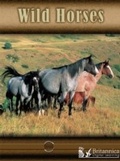 Cover: Wild Horses - Britannica Digital Learning