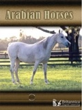 Cover: Arabian Horses - Britannica Digital Learning