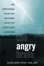 Cover: Healing the Angry Brain - New Harbinger Publications